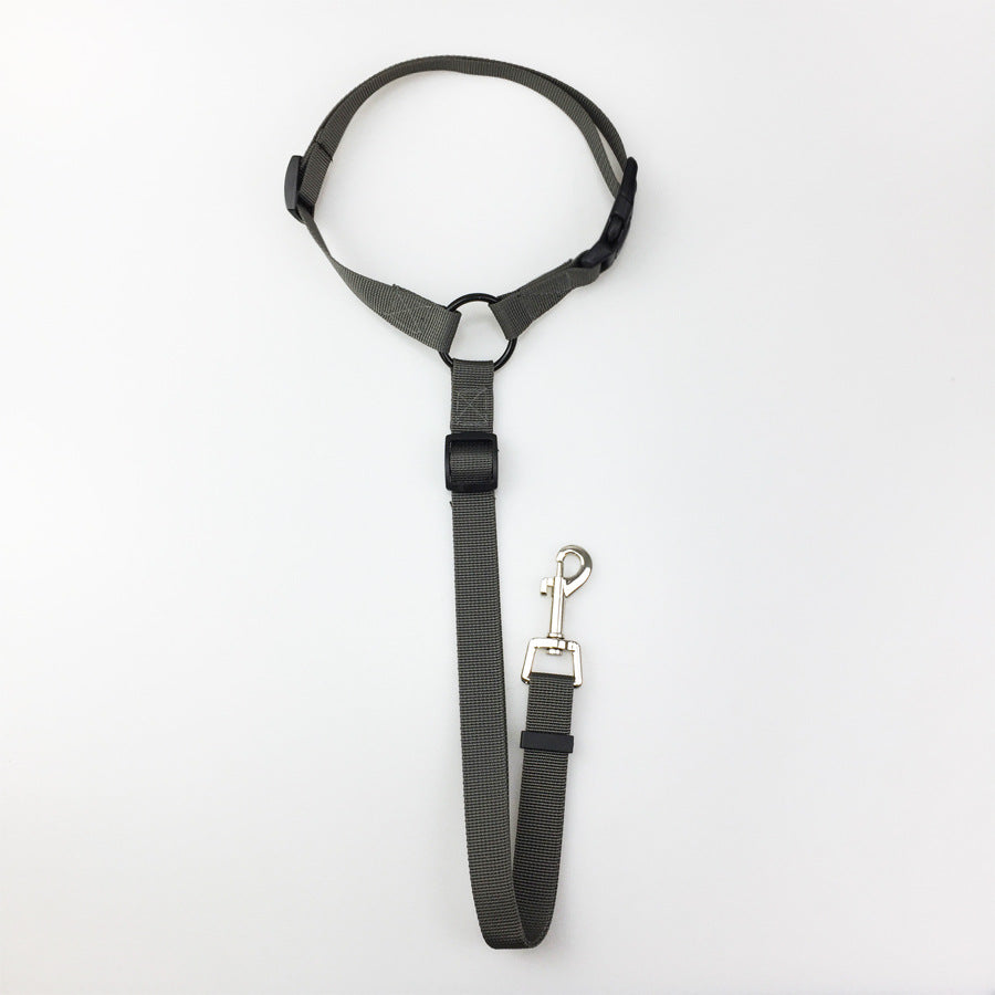 Pet safety leash - Pets Crazy Shops