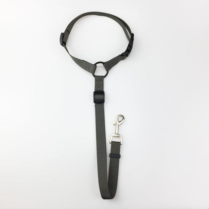 Pet safety leash - Pets Crazy Shops