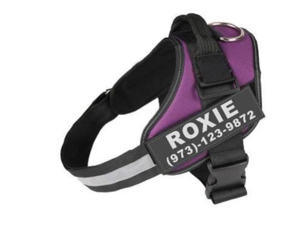 Personalized Custom Reflective Breathable Dog Harness NO PULL Adjustable Pet Harness For Small Large Dog Harness Vest With Patch - Pets Crazy Shops
