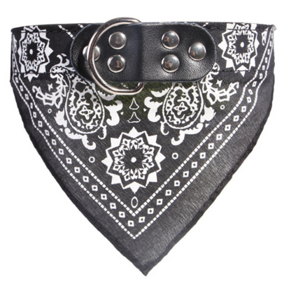 Pet lettering dog collar medium dog large dog neck collar collar collar - Pets Crazy Shops