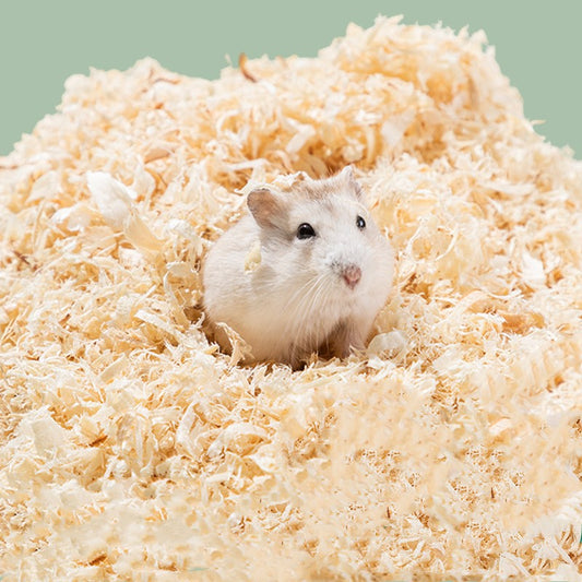 Bulk Poplar Wood Shavings Hamster Cushion Deodorant Absorbent Landscaping Supplies - Pets Crazy Shops