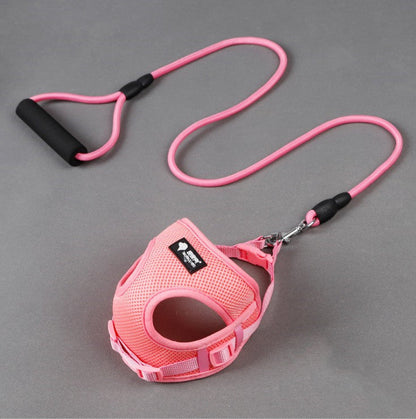 Dog leash dog leash dog collar - Pets Crazy Shops