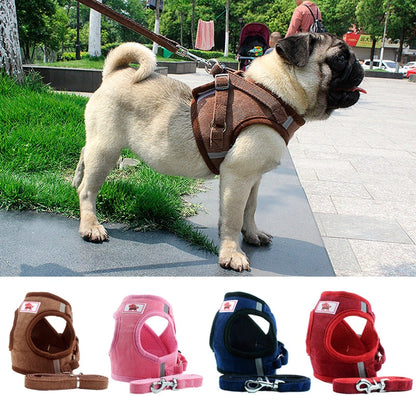 Dog chain chest strap - Pets Crazy Shops