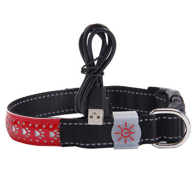 LED light collar pet collar - Pets Crazy Shops