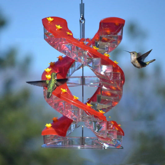 Climbing Ladder Spiral Hummingbird Feeder - Pets Crazy Shops