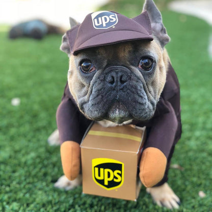 Funny Express Pet Dog Cat Clothes - Pets Crazy Shops