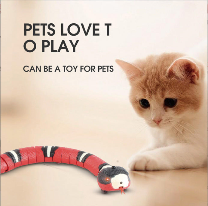 Smart Sensing Snake Cat Toys Electric Interactive Toys For Cats USB Charging Cat Accessories For Pet Dogs Game Play Toy - Pets Crazy Shops