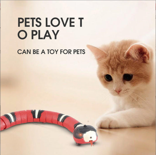 Smart Sensing Snake Cat Toys Electric Interactive Toys For Cats USB Charging Cat Accessories For Pet Dogs Game Play Toy - Pets Crazy Shops