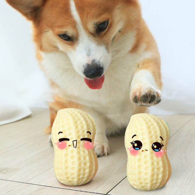 Funny Pet Dog Squeaky Toys For Small Middle Dogs Bite Resistant Puppy Cat Dogs Toys Pets Rubber Peanut Clean Tooth Chew Toy - Pets Crazy Shops