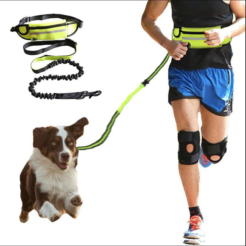Hands Free Dog Leash Pet Walking And Training Belt With Shock Absorbing Bungee Leash For Up To 180lbs Large Dogs Phone Pocket And Water Bottle Holder - Pets Crazy Shops