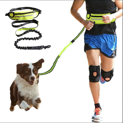 Hands Free Dog Leash Pet Walking And Training Belt With Shock Absorbing Bungee Leash For Up To 180lbs Large Dogs Phone Pocket And Water Bottle Holder - Pets Crazy Shops