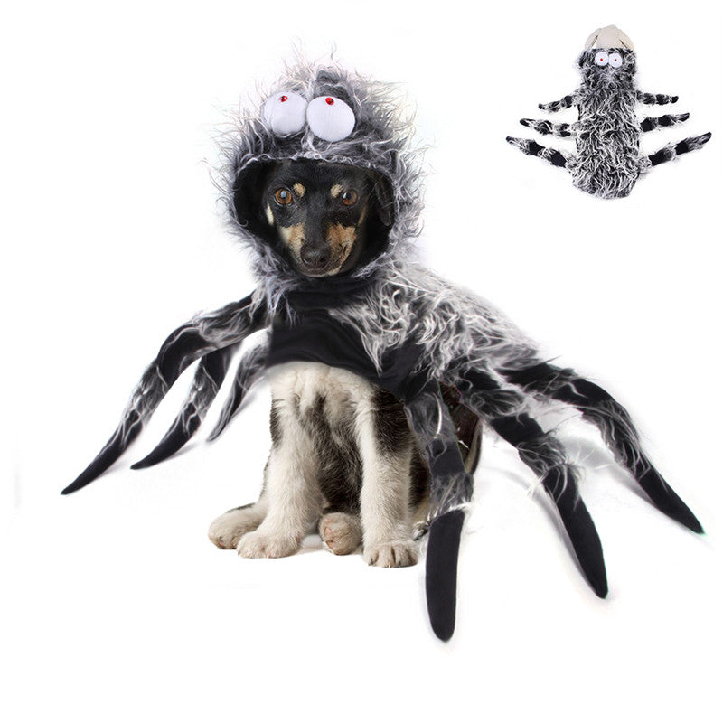 Creative Cats, Dogs And Large Dogs Turn Into Costumes - Pets Crazy Shops