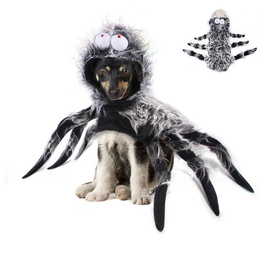 Creative Cats, Dogs And Large Dogs Turn Into Costumes - Pets Crazy Shops
