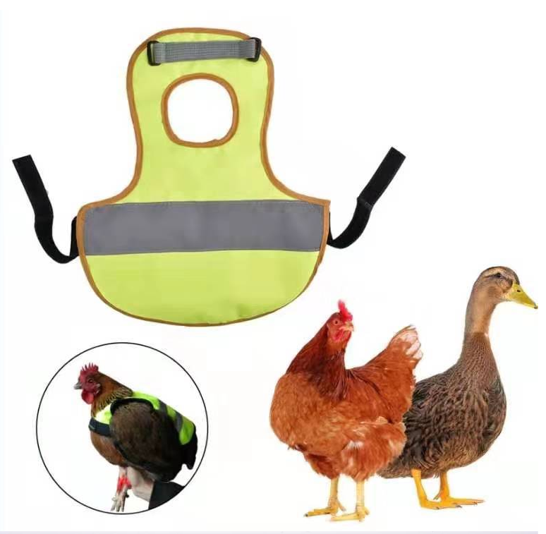 Chicken reflective vest - Pets Crazy Shops