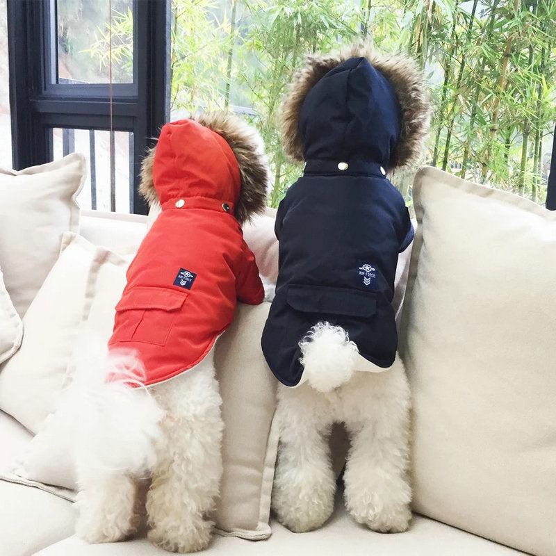 Hooded Cotton Coat Dog Clothing - Pets Crazy Shops