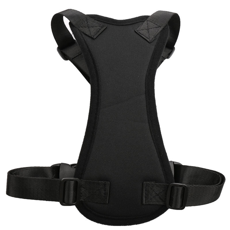 Car seat belts for pets - Pets Crazy Shops