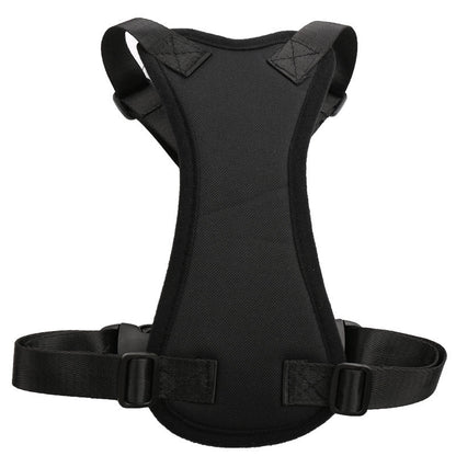 Car seat belts for pets - Pets Crazy Shops