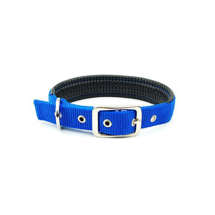 Medium and large dog collars - Pets Crazy Shops