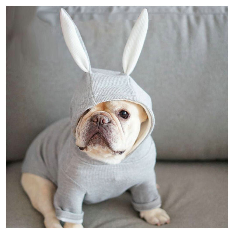 Small dog knitted sweater rabbit ears costume - Pets Crazy Shops