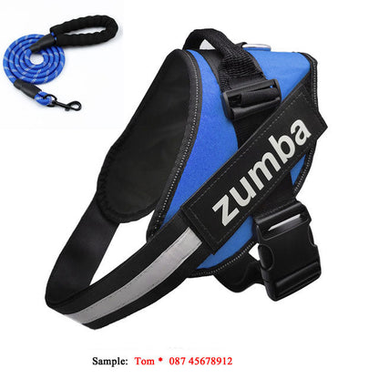 Personalized Reflective Breathable Adjustable Dog Harness and Leash Set - Pets Crazy Shops