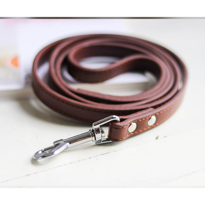 Pet leash collar - Pets Crazy Shops