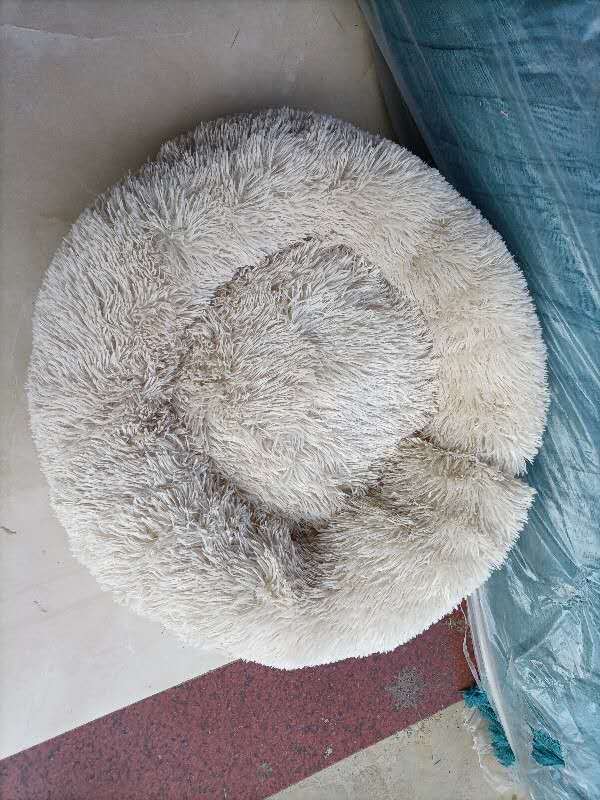 Pet sleep bed - Pets Crazy Shops