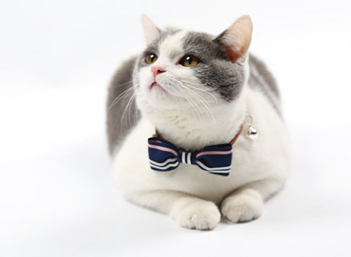 Pet tie - Pets Crazy Shops
