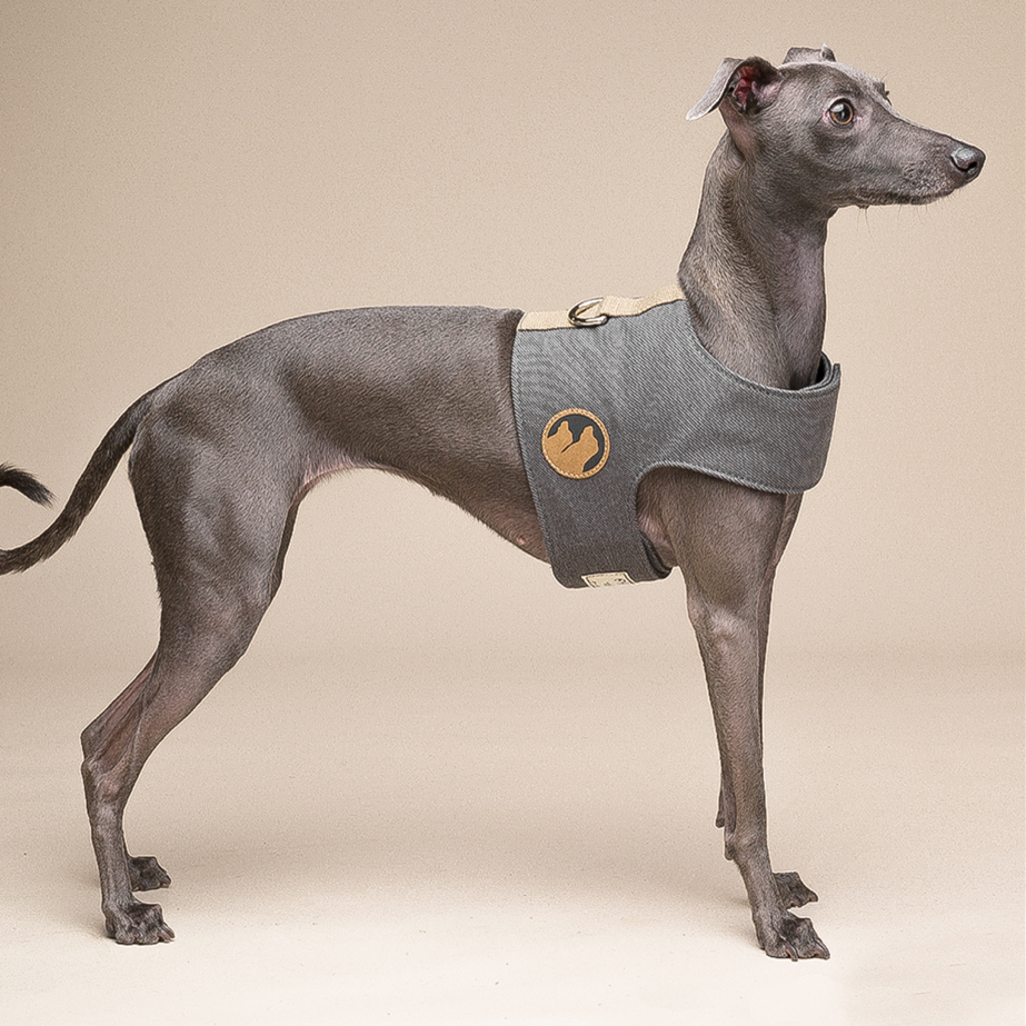 Dog Harness Small Dog Vest Type Leash - Pets Crazy Shops