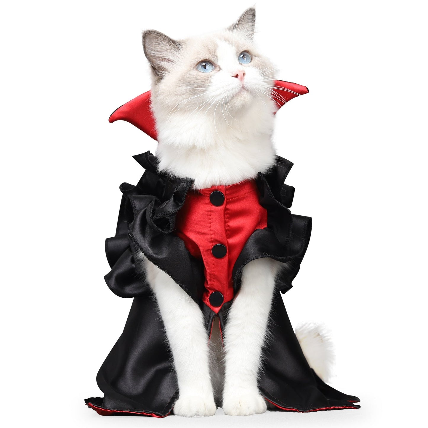 Cat Halloween Vampire Transformation Costume - Pets Crazy Shops