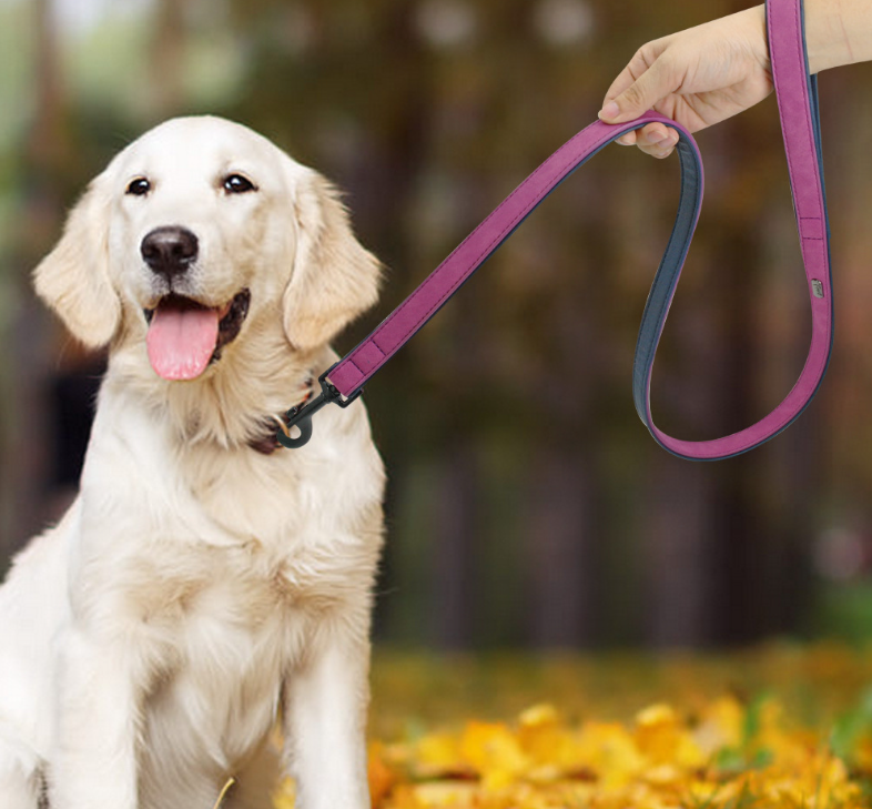 Pet Dog Leash Pull-resistant Leather Products - Pets Crazy Shops