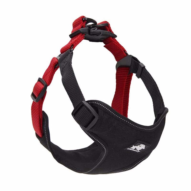 Dog leash collar walking dog leash - Pets Crazy Shops