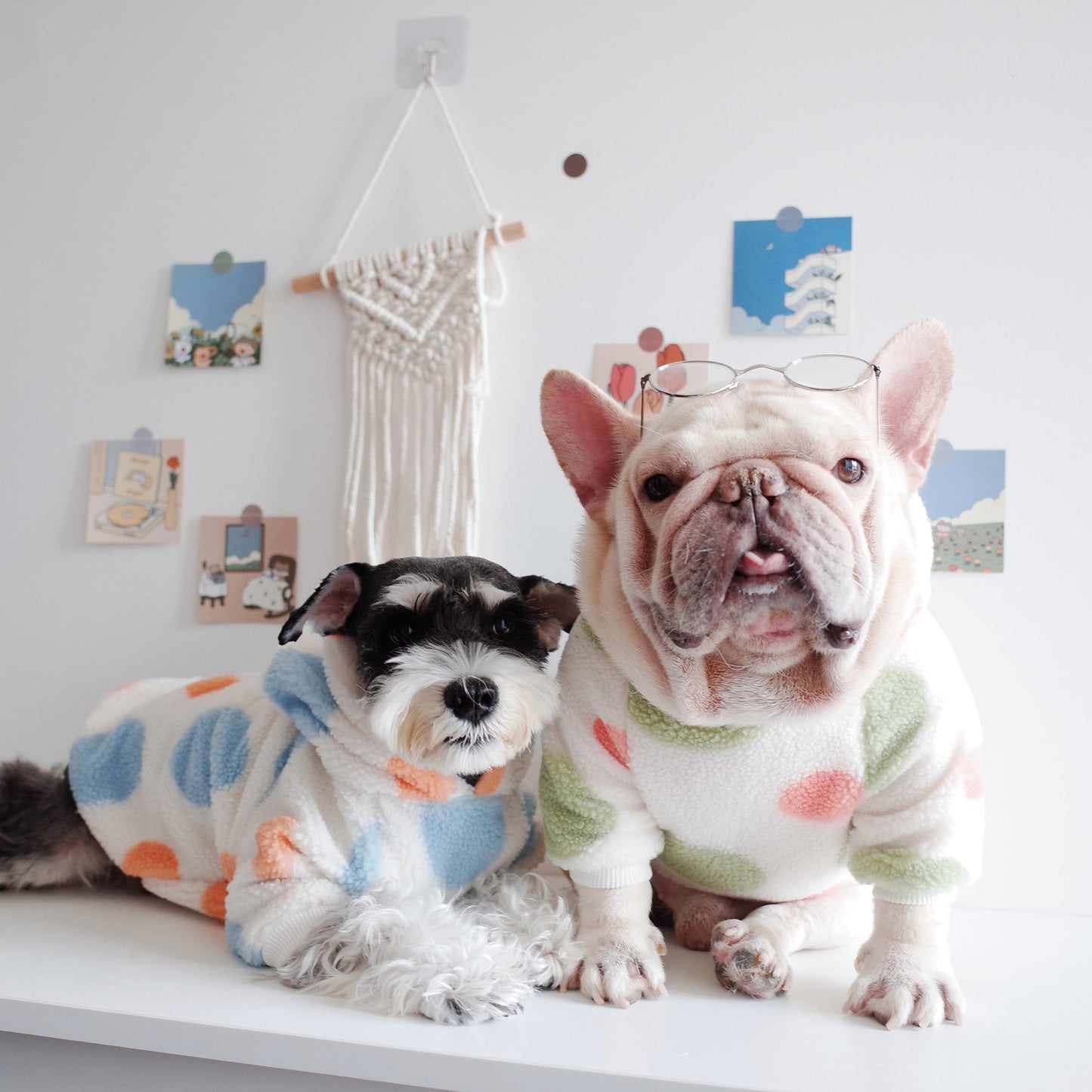 Pet Apparel Dog Grain Fleece Dot Print Hoodie - Pets Crazy Shops