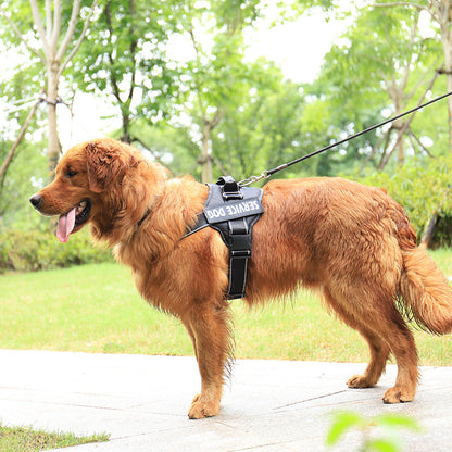 Personalization Of Pet Chest Strap Products - Pets Crazy Shops