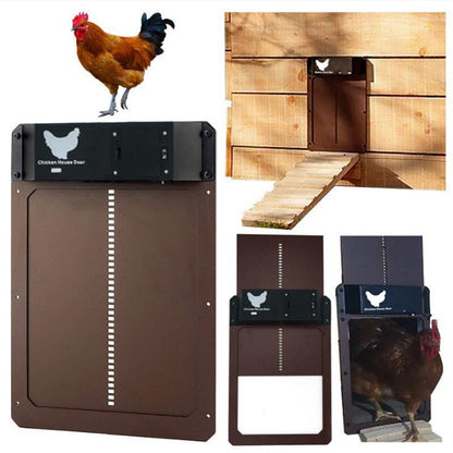 Coop Pet Door Automatic Chicken Coop - Pets Crazy Shops