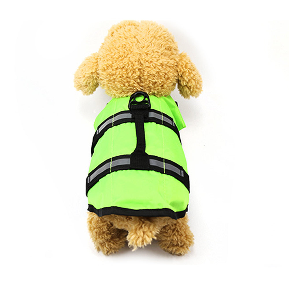 Large and small dogs - Pets Crazy Shops