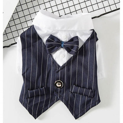 Small dog suit clothes - Pets Crazy Shops