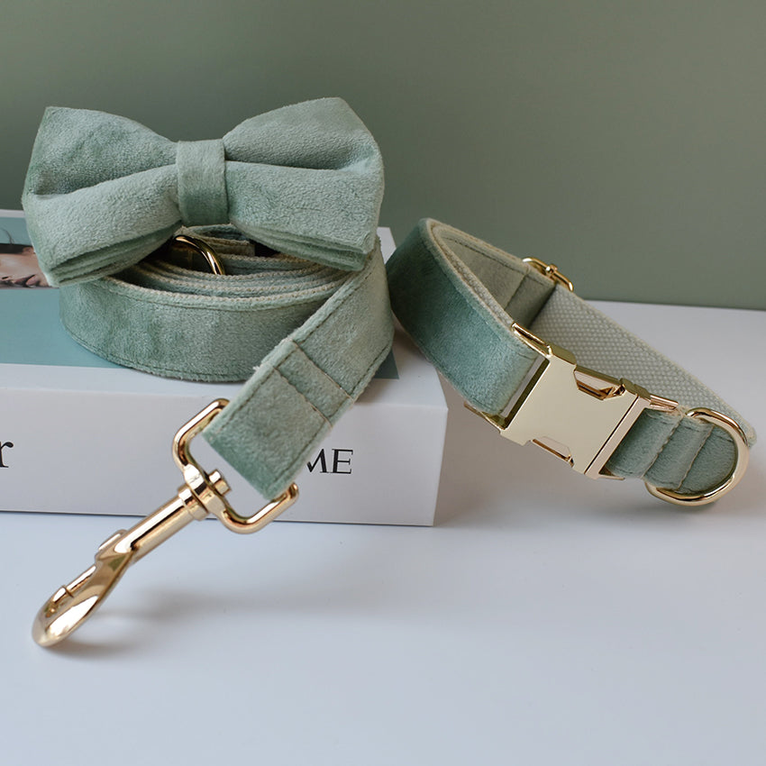 Mint Green Dog Collar Leash - Pets Crazy Shops
