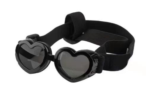 Pet Glasses Windproof Eye Protection Accessories - Pets Crazy Shops