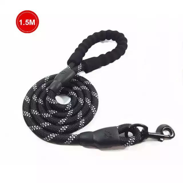 Small Medium Sized Pet Dog Luminous Leash Chain Puppies - Pets Crazy Shops