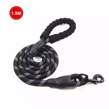 Small Medium Sized Pet Dog Luminous Leash Chain Puppies - Pets Crazy Shops