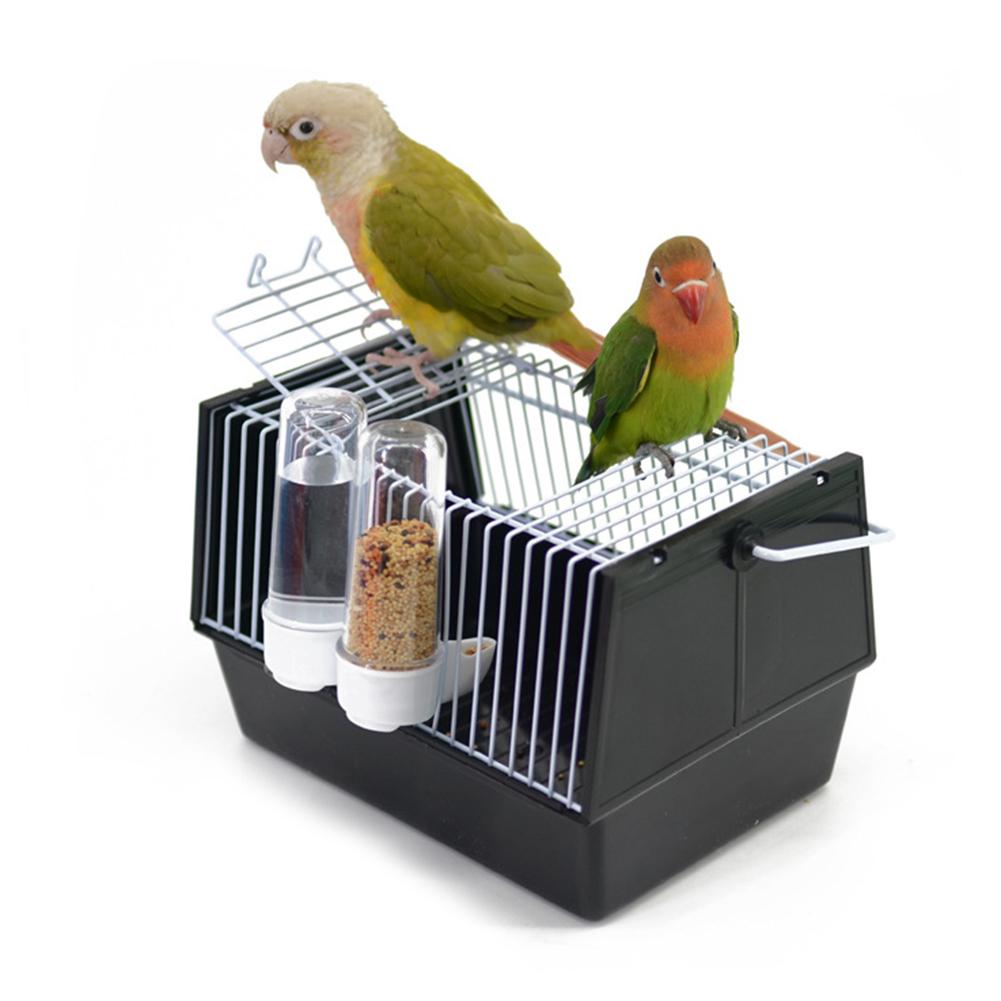 Out of the bird cage - Pets Crazy Shops