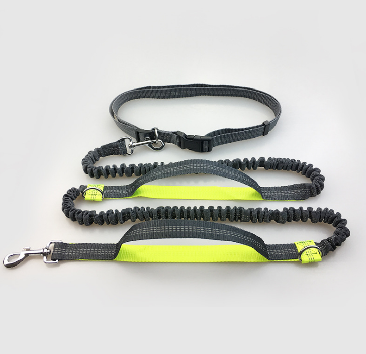 Amazon direct pet supplies multi-function running reflective pull dog leash double elastic dog leash traction - Pets Crazy Shops