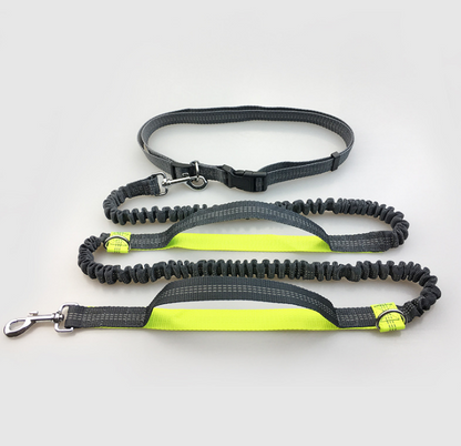 Amazon direct pet supplies multi-function running reflective pull dog leash double elastic dog leash traction - Pets Crazy Shops