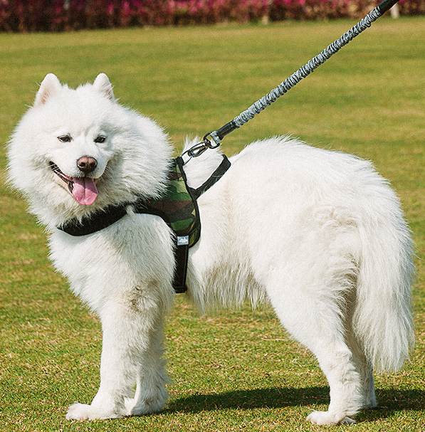 Chest harness dog leash - Pets Crazy Shops