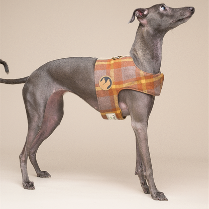 Dog Harness Small Dog Vest Type Leash - Pets Crazy Shops