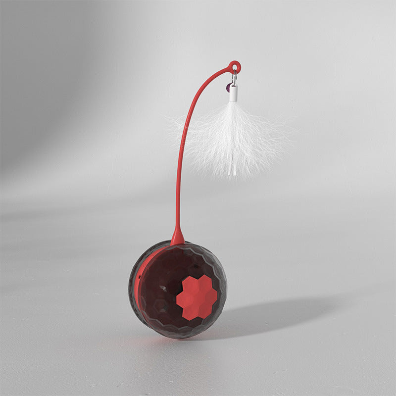 Enjoying Electric Intelligent Bite Resistant Cat Toys Pet Products - Pets Crazy Shops