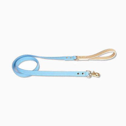 Leather Pet Dog Leash Collar Set - Pets Crazy Shops