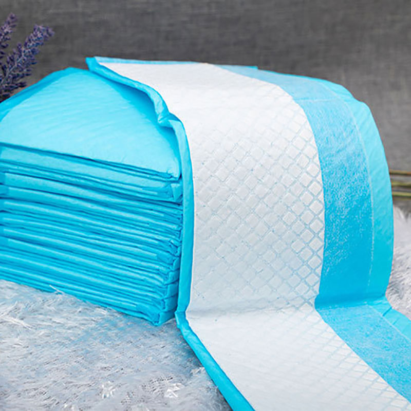 Disposable Diaper Pad Absorbent Pet Products - Pets Crazy Shops