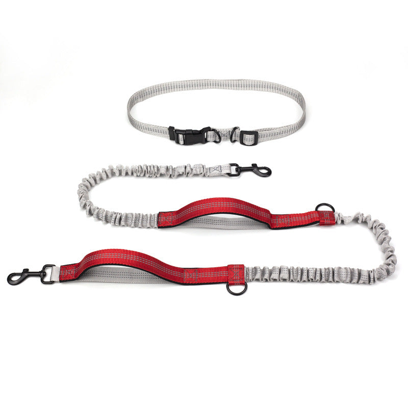 Pet Supplies Outdoor Running Dog Leash - Pets Crazy Shops