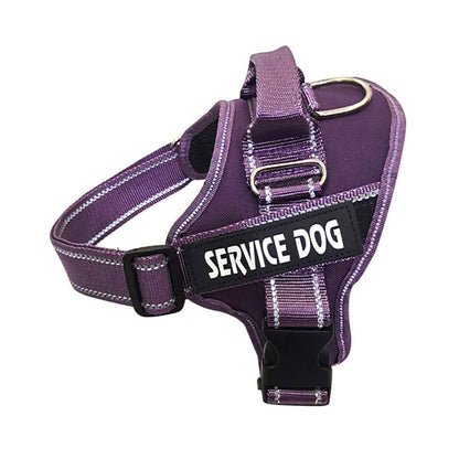 Personalization Of Pet Chest Strap Products - Pets Crazy Shops